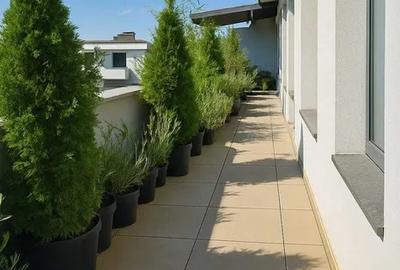 Penthouse - 5 camere - decomandat - Mihai Bravu - 6