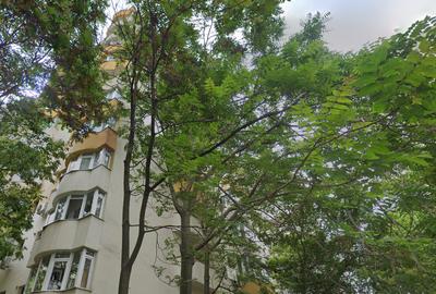 Garsonieră decomandată în Pantelimon - 2