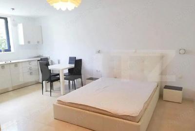 Garsonieră semidecomandată în Zorilor - 2