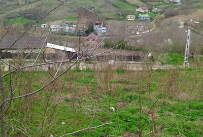 Teren Construcții intravilan de 2500 mp, în Tudor Vladimirescu - 1
