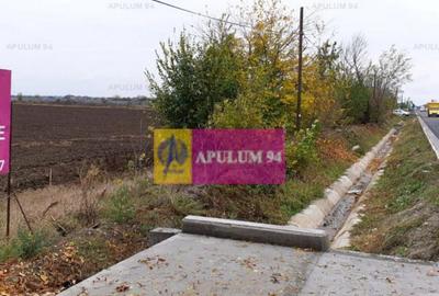 Teren de 13705 mp, în 1 Decembrie - 1