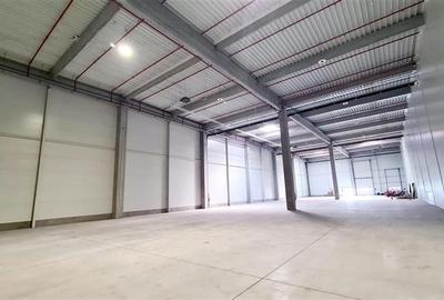 Spatiu industial 1700 mp , Timisoara exterior NORD - 4