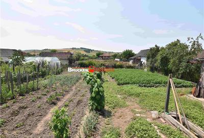 Casă cu 3 camere cu Teren 1582 Mp în Păgaia - 11