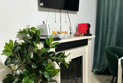 Apartament de inchiriat Gorjului 5 min metrou - 4