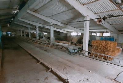 Hala productie zona industriala a localitatii Beclean - 3