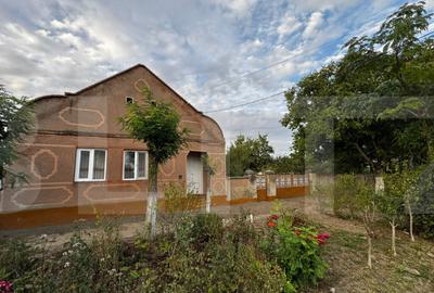 Casa 4 camere cu teren de 3892 mp - 5