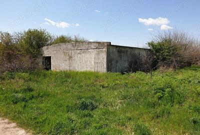 Inchiriere teren 30,000mp si hale in conservare Singureni Giurgiu - 1