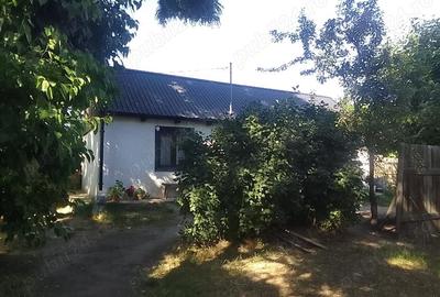 Casă cu 3 camere cu Teren 3400 Mp în Moara Jorii - 2