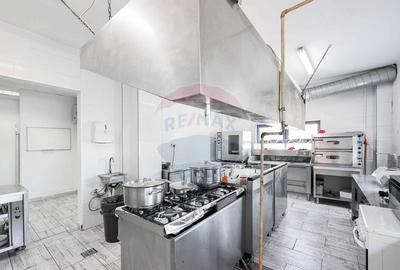 Hotel/Pensiune de vanzare cu 16 camere, Punct de Frontie... - 12