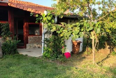 Proprietate de vânzare/schimb la Fântânele – Sibiu - 4