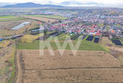 Teren 10000 mp in Extravilan, Bod, Brasov- COMISION 0% - 9