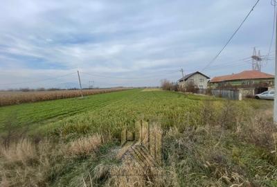 Teren intravilan Calea Feldioarei Vanzare/Inchiriere - 2