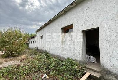 Hala de productie sau pentru depozitare Ortisoara - 9