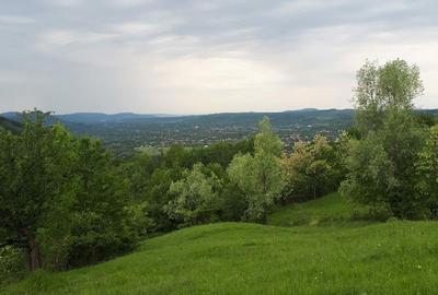 Teren de 10000 mp, în Chiciureni - 8