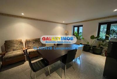 Birou, de 70 mp, în Mărășești - 12