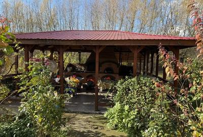 Casă cu 3 camere cu Teren 8807 Mp în Gura Văii - 5