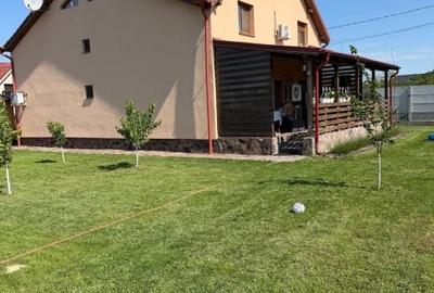 Casă individuală cu 5 camere cu Teren 1150 Mp în Mândruloc - 11
