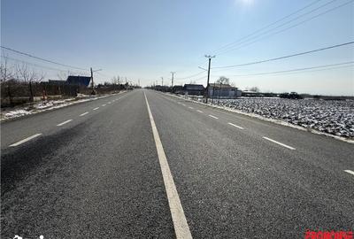 Teren de 16540 mp, în Săucești - 4