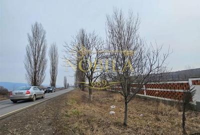 Teren de 57662 mp, în Căiuți - 1