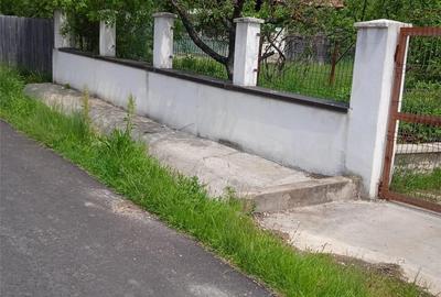 Casă cu 5 camere cu Teren 4020 Mp în Marița - 6