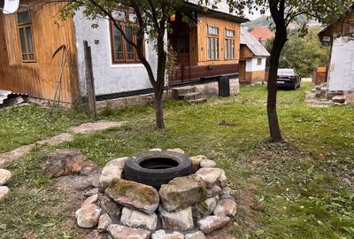 Casă cu 3 camere în Soveja - 6