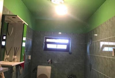 Casa de vanzare in sat Stefanesti, Ileana - 5