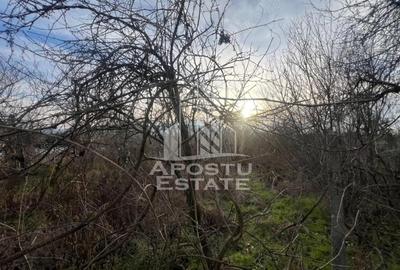 Casă cu Canalizare în Charlotenburg - 2