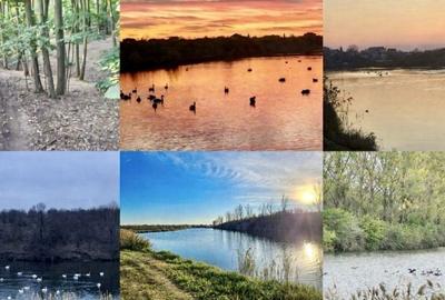 Spațiu comercial, în Găneasa - 15