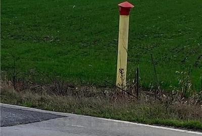 Teren Extravilan in Prahova - 4