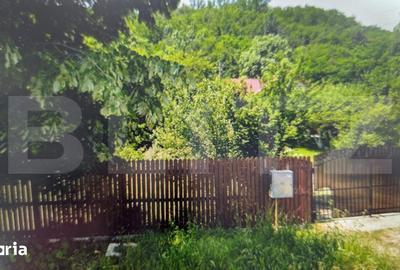 Casă cu 3 camere cu Teren 1820 Mp în Centură - 1