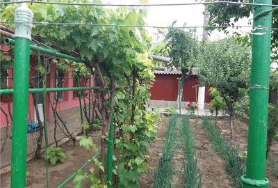 Casă cu 4 camere în Central - 1