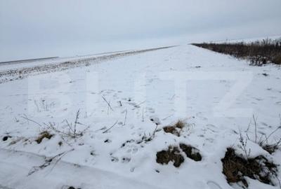 Teren de 9000 mp, în Tărlungeni - 4