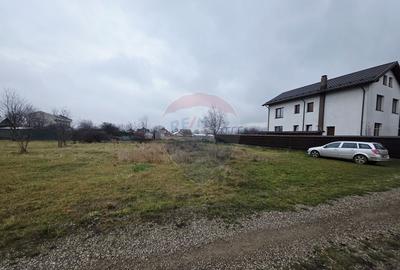 Teren 519mp Dumbrava Rosie / Strada CRANGULUI - 13