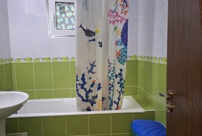 Apartament cu 2 camere semidecomandat, mobilat în Decebal - 11