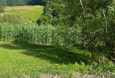 Casă cu 2 camere în Molișet - 7