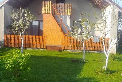 Casă cu 3 camere cu Teren 380 Mp în Berceni - 6