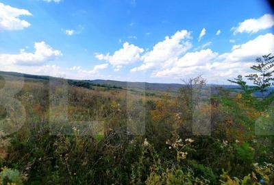 Teren intravilan de 5800 mp, situat in Padureni - 10