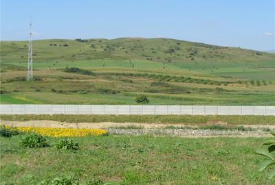 Teren de 5500 mp, în Stejeriș - 6