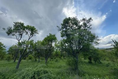 Teren de 5305 mp, în Central - 2