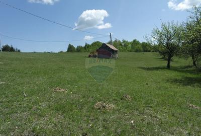 Teren de vânzare în PRELUCA NOUA - 5