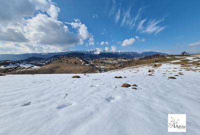 Teren De Vanzare In Sirnea - 21