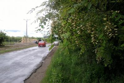 Intravilan 480 mp , loc de casa , zona padure Baicoi Prahova - 12