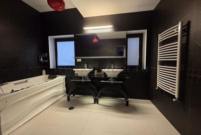 Vila in apropiere de IANCU NICOLAE-JOLIE VILLE - 21