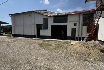 Proprietate mixta,  zona Bulevardul Bucuresti - 10