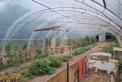 Casă individuală cu 6 camere cu Teren 2712 Mp în Dudeștii Noi - 16