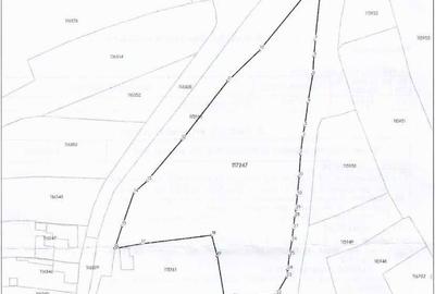 Teren de 7700 mp, în Voila - 1