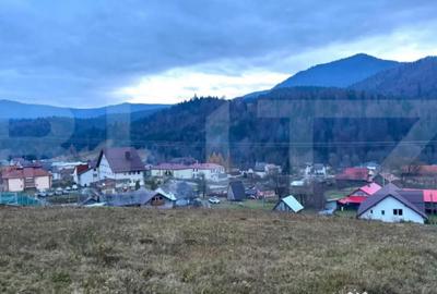 Teren de 2500 mp, în Colibița - 4