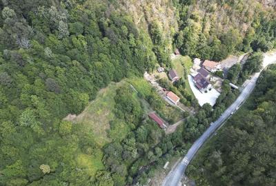 Teren intravilan de 1500 mp pe deal in Moneasa - 14