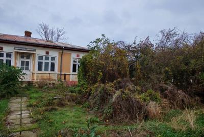 Casa locuibila cu 3 camere, 1700 mp teren deschidere 30 m, DOMNESTI - 8