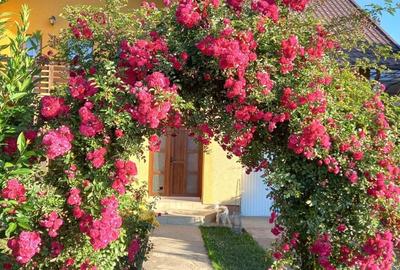 Casă cu 5 camere cu Teren 450 Mp în Central - 1